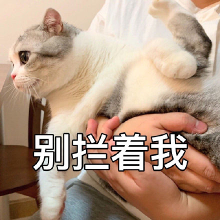 图片名称
