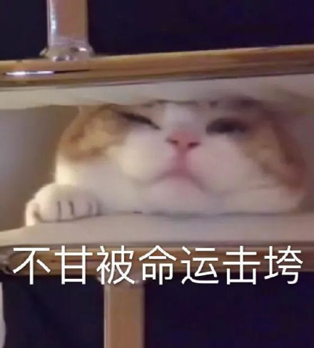 图片名称