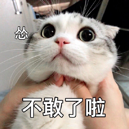 图片名称