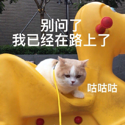 图片名称