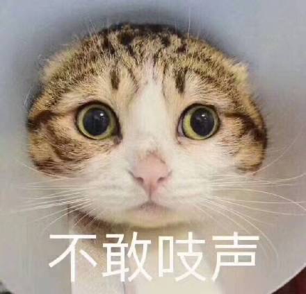图片名称